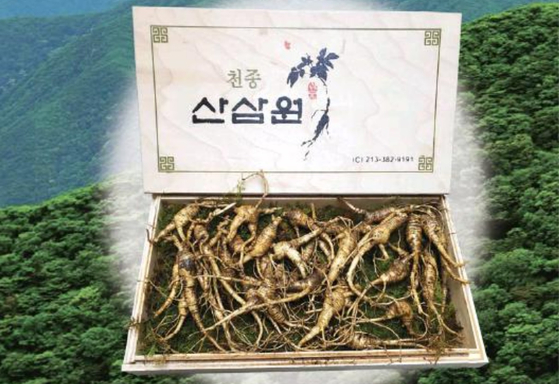 미주중앙일보