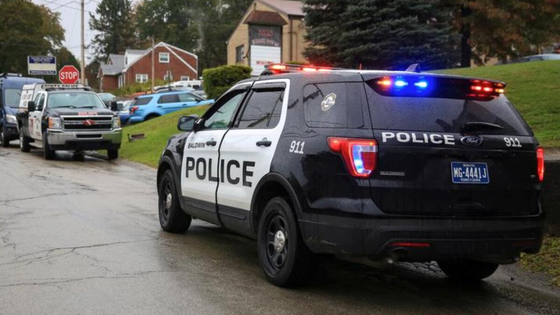 경찰차 정차 명령