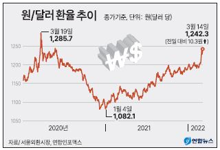 그래픽