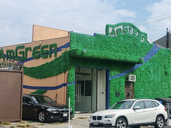 AmGreen