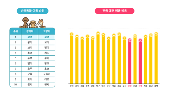 [사진제공=펫이지 ‘반짝’]