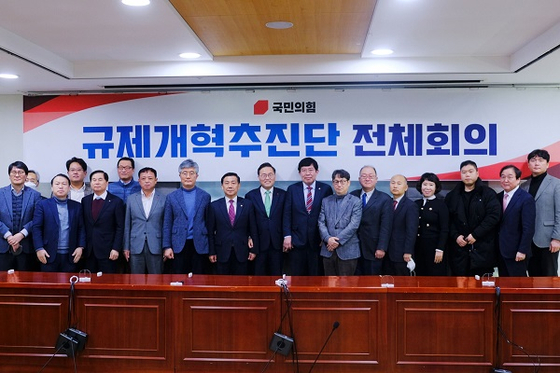 국민의힘 규제개혁추진단