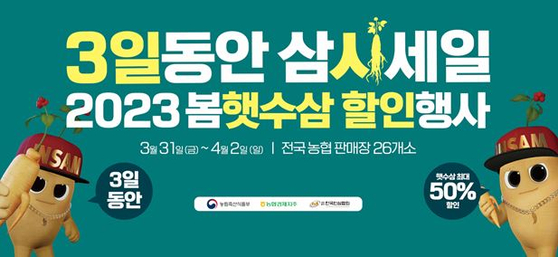 [이미지 제공 : 한국인삼협회]