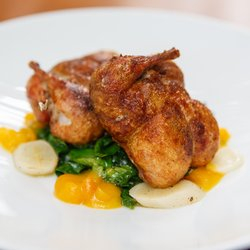 허브 로스티드 치킨 요리 dragocentro.com 캡처]