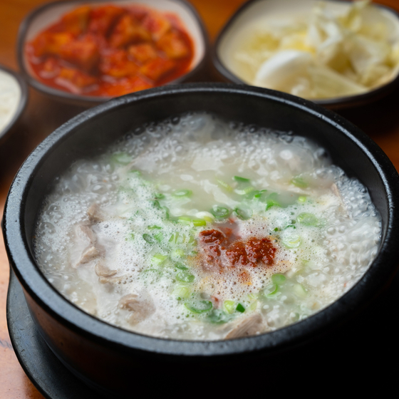 루팅거(ROOTINGER) 