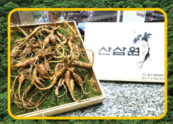 미주중앙일보