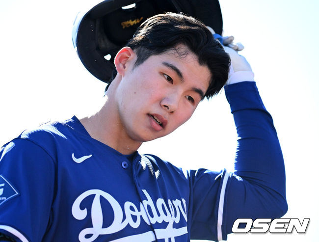 OSEN DB