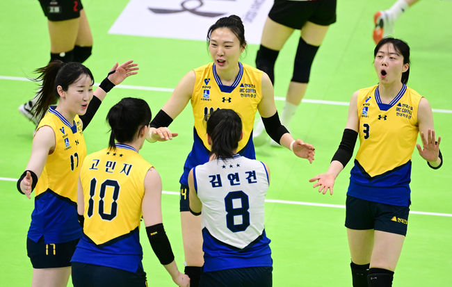 KOVO 제공