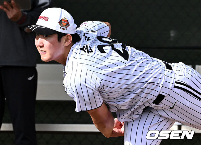 OSEN DB