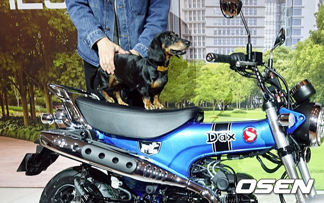 [사진]OSEN DB.