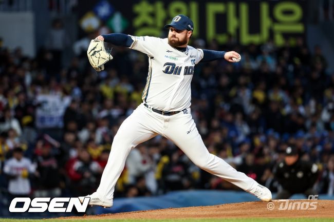 NC 다이노스 제공