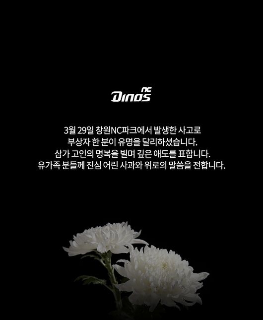 NC 다이노스 인스타그램 캡쳐