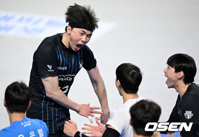 OSEN DB