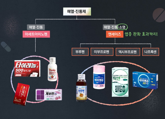 그래픽 신다은