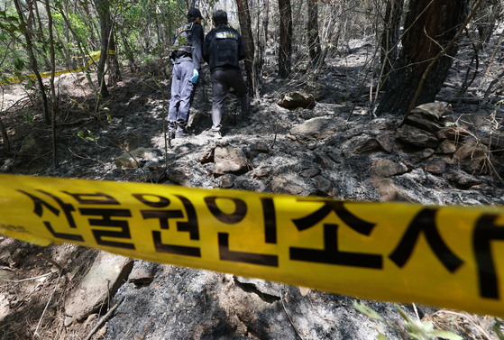 대구에서 발생한 대형 산불이 이틀 만에 진화됐다가 일부에서 재발화한 가운데 지난달 30일 대구 북구 노곡동 최초발화지 현장에서 산림청, 경찰, 소방 등 유관기관 관계자들이 현장감식을 하고 있다. 연합뉴스