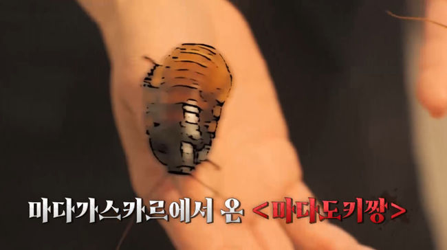 [사진]OSEN DB.