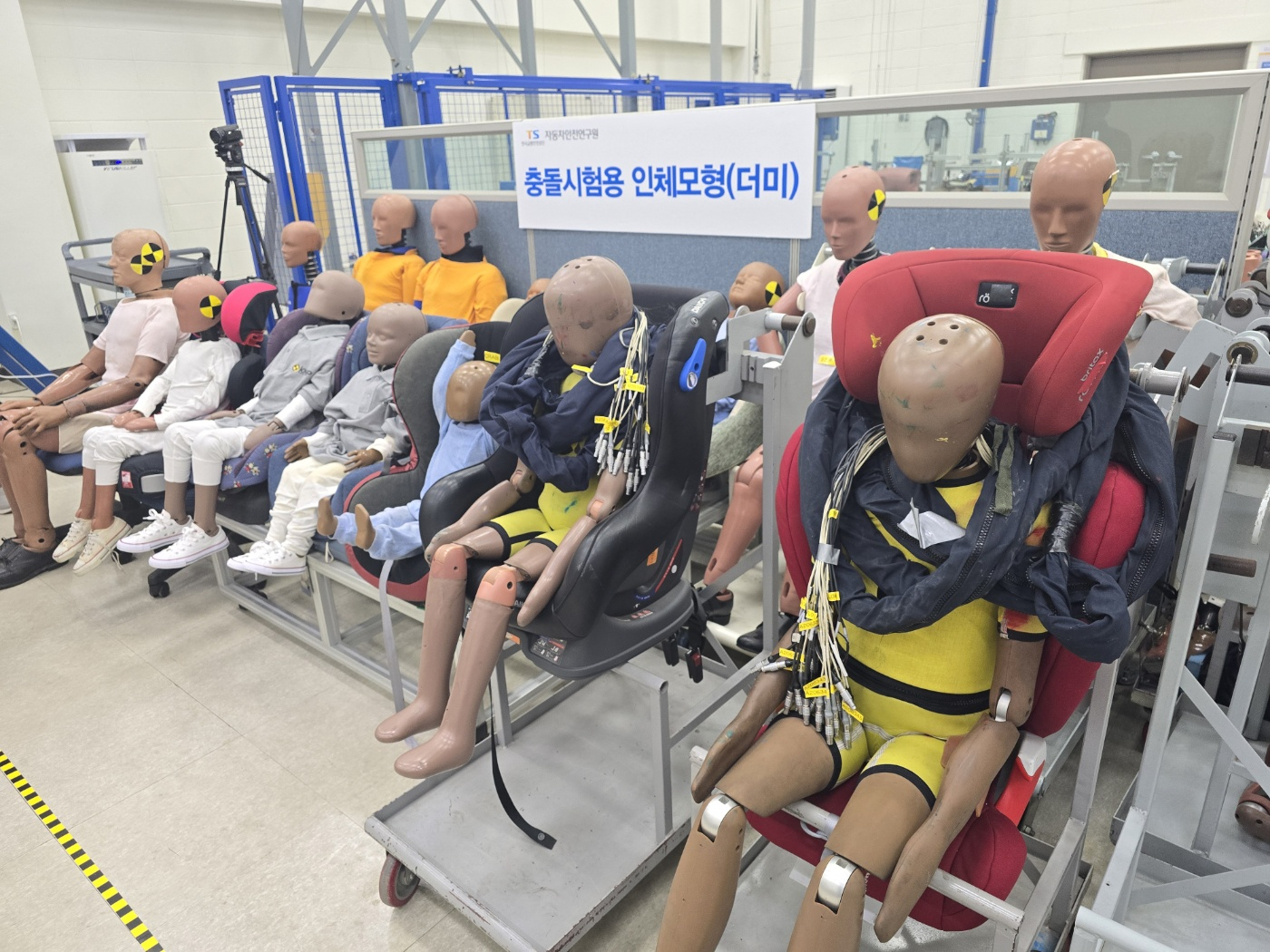 자동차안전연구원이 보유한 충돌시험용 더미들. 강갑생 기자
