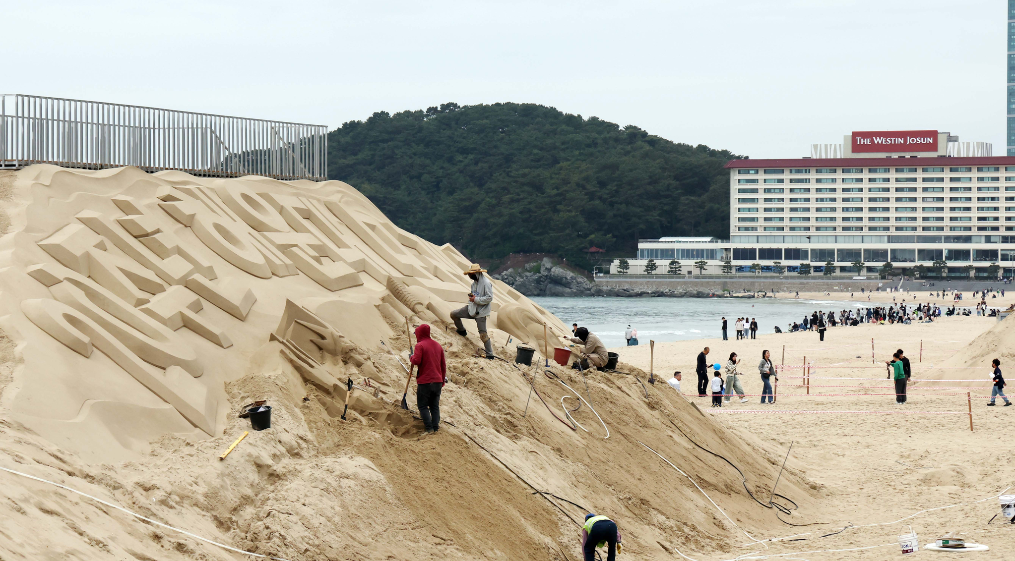 뉴시스
