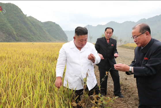 김정은 국무위원장이 2021년 10월 강원도 김화군 수해 복구 현장을 방문해 벼 낟알을 살펴보는 모습. 조선중앙TV 캡처, 연합뉴스