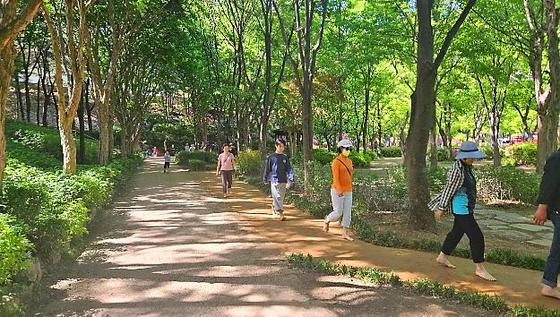 서울 서대문구독립공원 맨발길을 걷고 있는 시민들. 사진 서울 서대문구