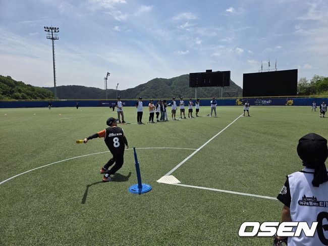 OSEN DB