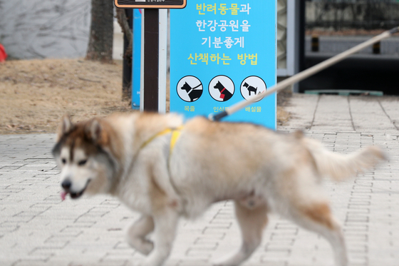 뉴스1