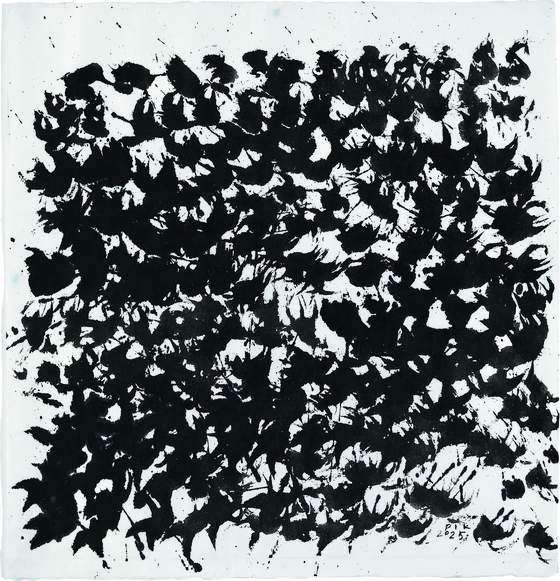  박인경, Envol, 2024.한지에 먹,75.4 x 72.3 cm. [사진 S2A]