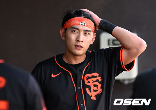 OSEN DB