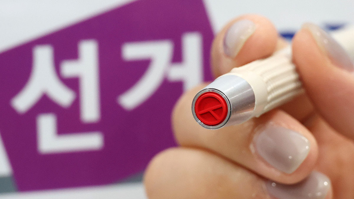 뉴스1