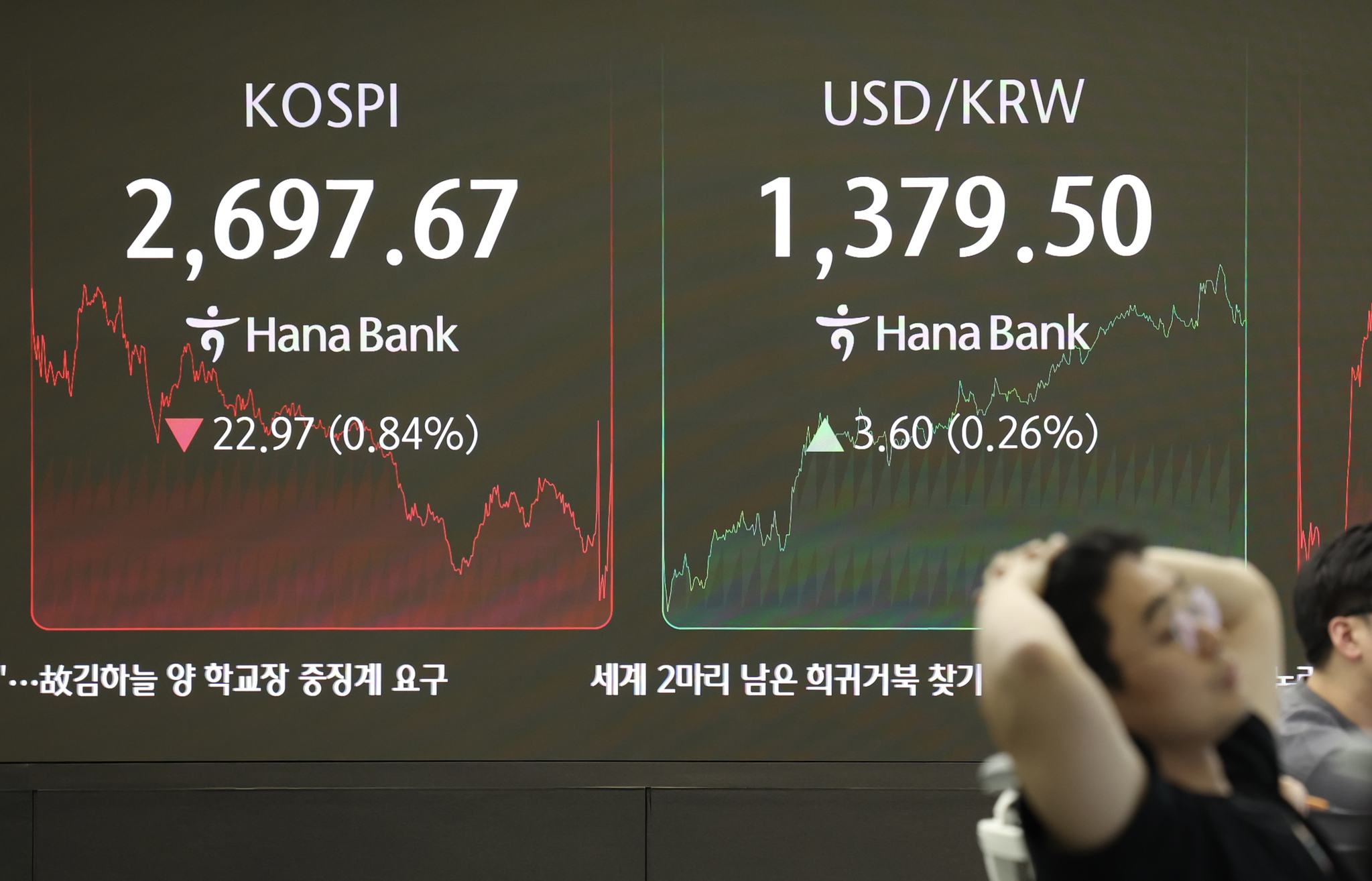 뉴시스
