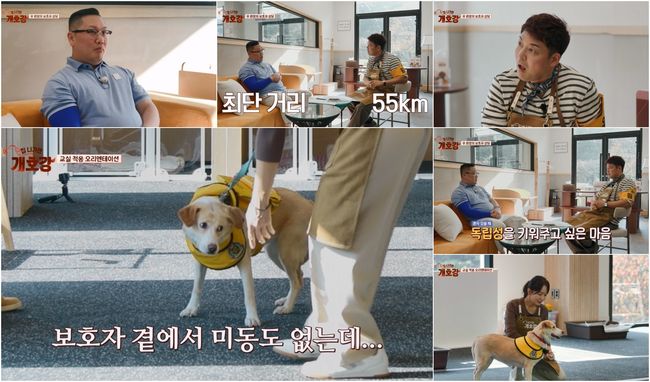 [사진]OSEN DB.