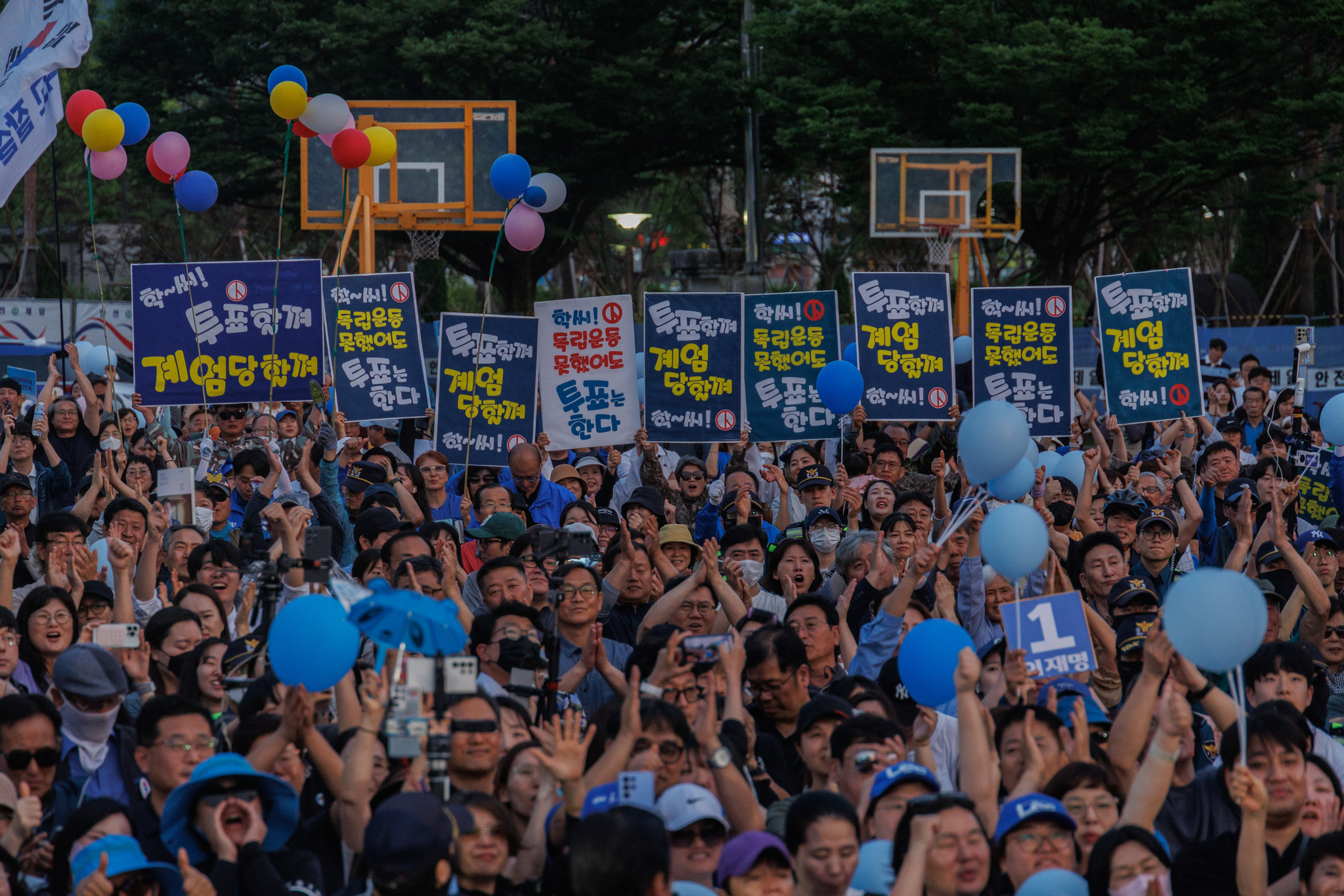 김성룡 기자