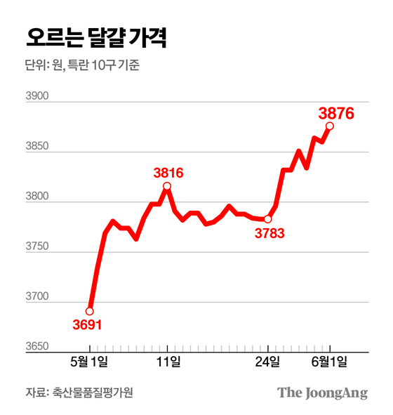 김주원 기자