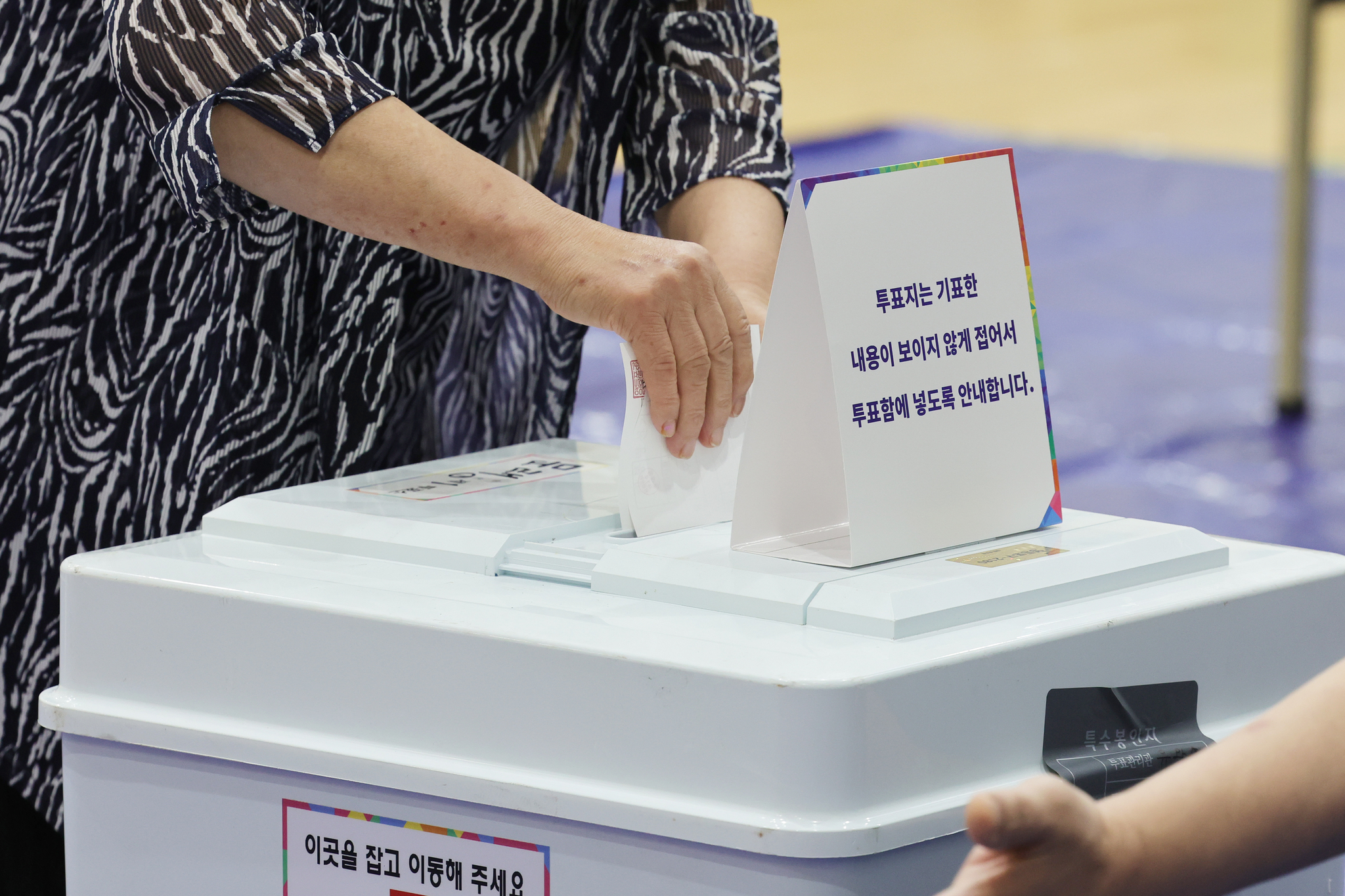 장진영 기자