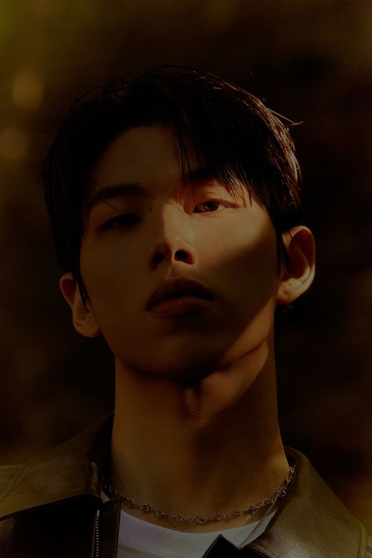WAVY 제공