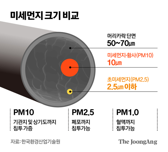 김영옥 기자