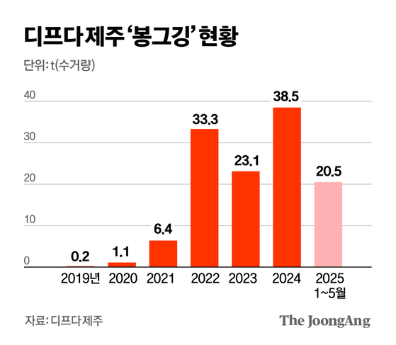 김영옥 기자