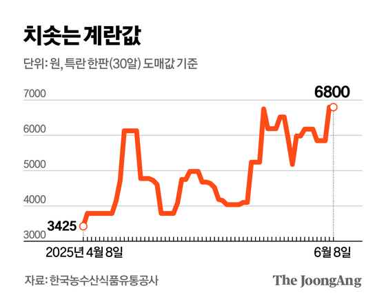 김영옥 기자