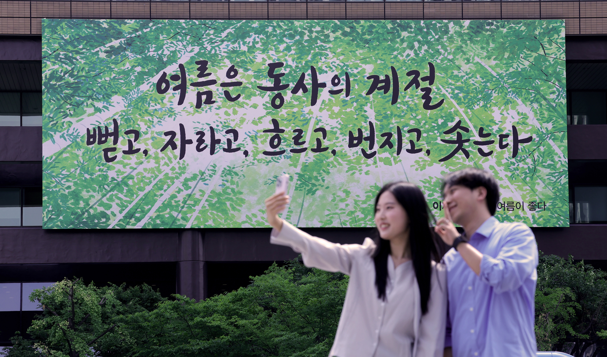 장진영 기자