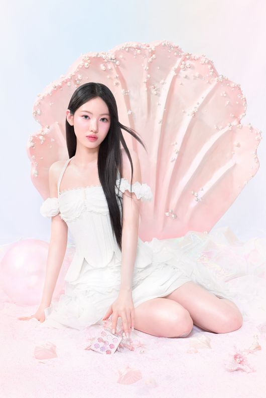 데이지크 제공