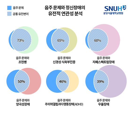 음주 문제와 정신장애 간 공유하고 있는 유전변이 비율. 사진 분당서울대병원