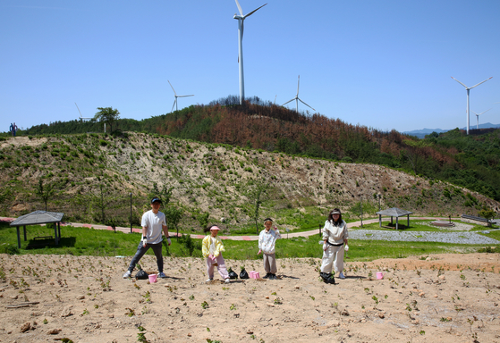 영덕 풍력발전단지 아래에서 진달래 묘목을 심고 있는 이종열씨 가족. 영덕을 비롯한 산불 피해지역에 여행을 오면 다양한 체험 활동을 할 수 있다. 모두 산불 피해지역을 돕기 위한 행동이다. 손민호 기자 