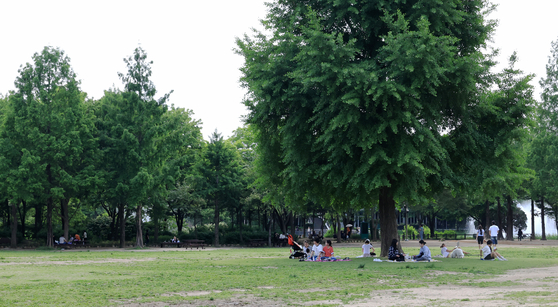 농구코트 크기 불탔다… 서울숲 공원 불지른 러 남녀, 무슨일