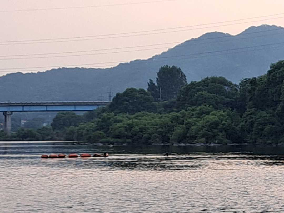 강원 홍천강에서 물놀이를 하던 10대 4명이 급류에 휩쓸려 이 중 1명이 실종됐다. 사진은 소방 당국이 수색 작업을 하고 있는 모습. 사진 강원특별자치도소방본부