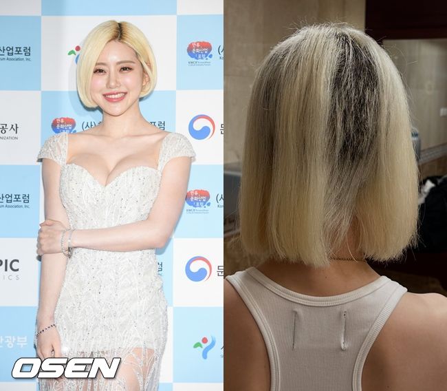 [사진]OSEN DB.