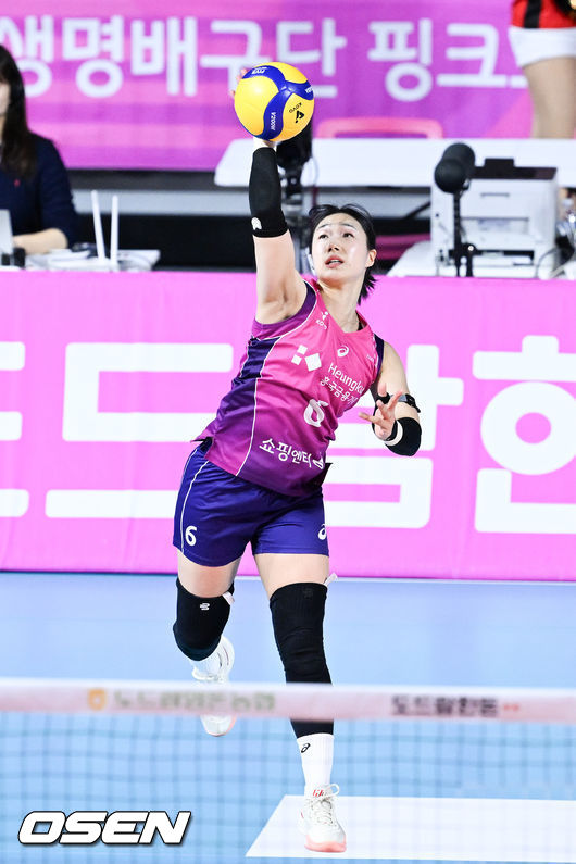 이고은 / OSEN DB