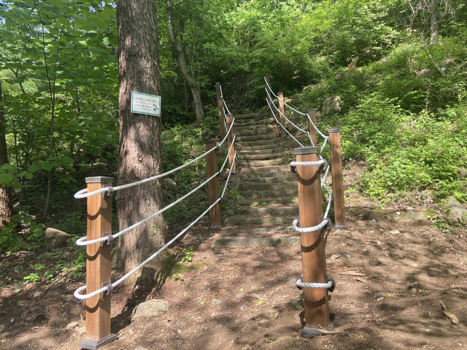 ‘동서트레일 영주 구간’ 조성 모습