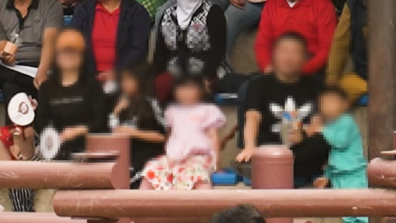 어린 아이를 동반한 가족 관람객이 청도 소싸움을 지켜보고 있다. 사진 동물해방물결