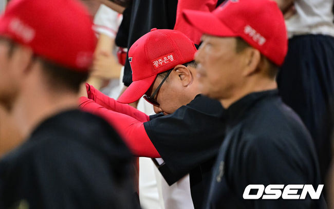 OSEN DB