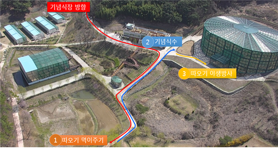 따오기 방사 행사 진행도. [제공 창녕군]